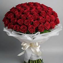 Букет 101 Красная роза Блэк Мэджик в Знаменском Омской области