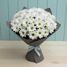 Букет цветов из:  Хризантемы #REPLACE_PRED# Знаменском Омской области