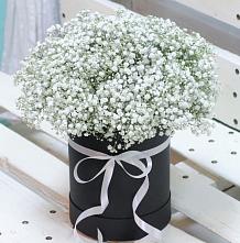 Цветочная композиция из Гипсофила в шляпной коробке #REPLACE_PRED# Знаменском Омской области