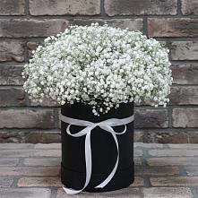 Цветочная композиция из Гипсофила в шляпной коробке #REPLACE_PRED# Знаменском Омской области