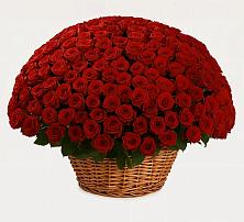 Премиум букет из: Розы в Знаменском Омской области